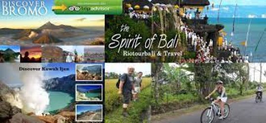 Rio Tour Bali Transportation service 